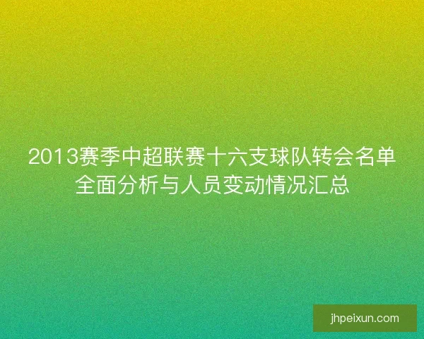 2013赛季中超联赛十六支球队转会名单全面分析与人员变动情况汇总