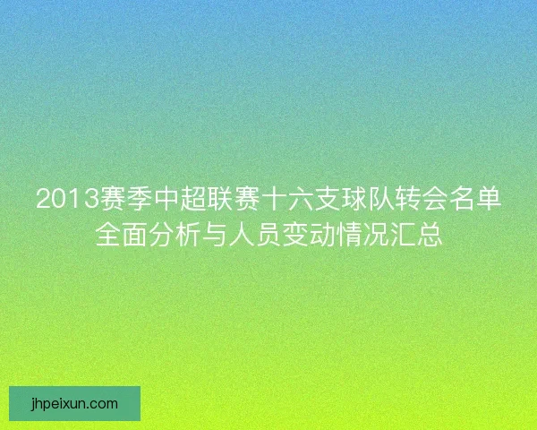 2013赛季中超联赛十六支球队转会名单全面分析与人员变动情况汇总